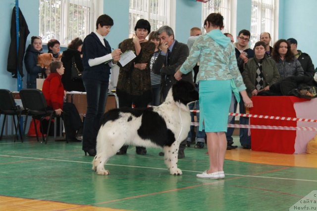 Фотография № 117181