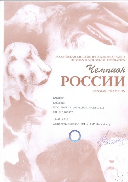 Фотография № 117184