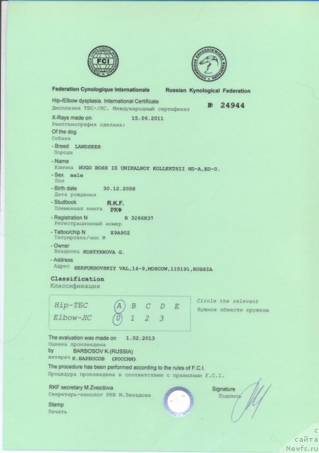 Фотография № 117186