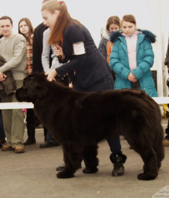 Фотография № 117187