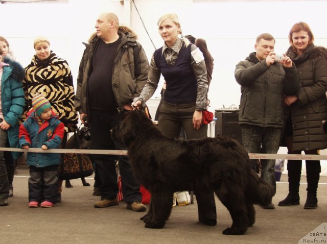 Фото: Урсула Латифа