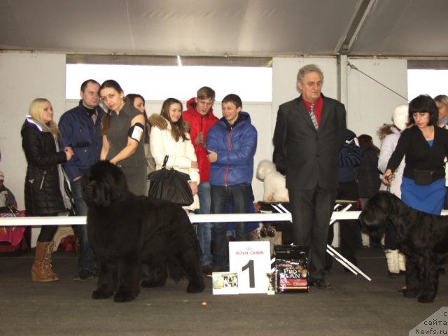 Фотография № 117192