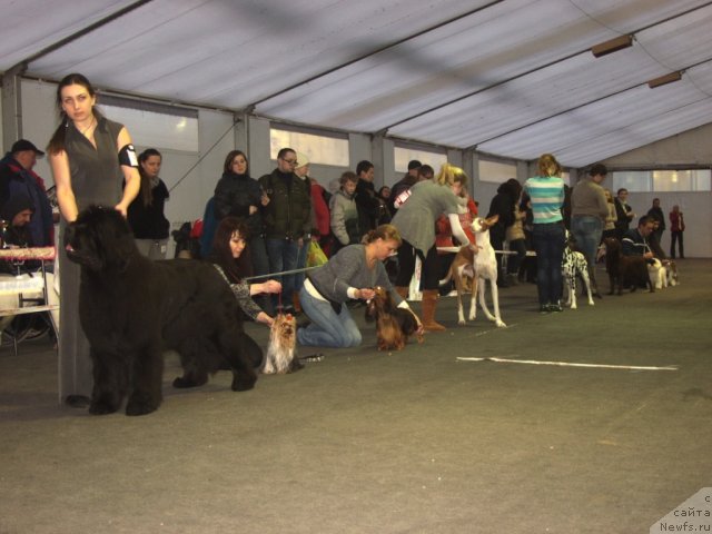 Фотография № 117193