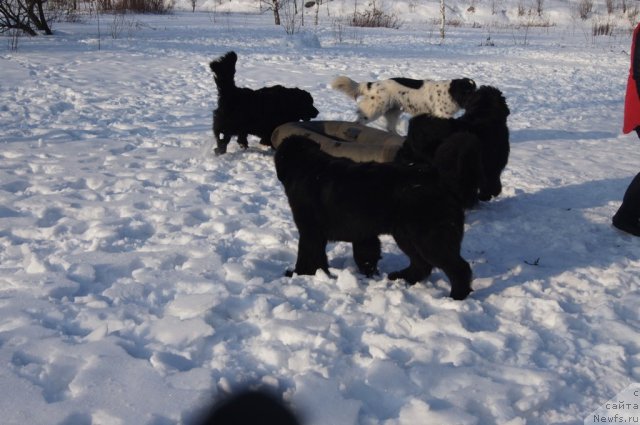 Фотография № 117196