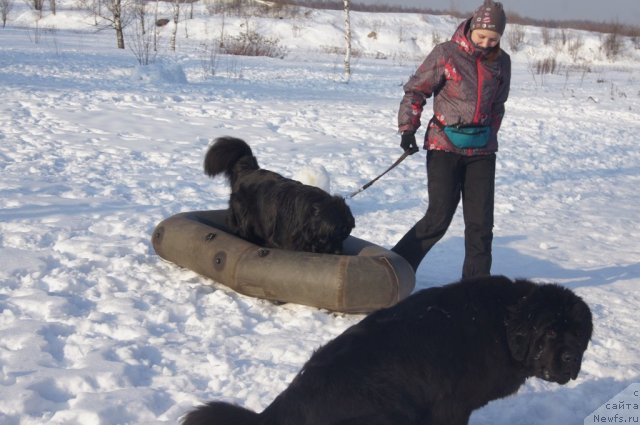 Фотография № 117197