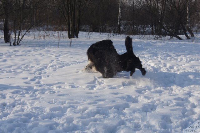 Фотография № 117200