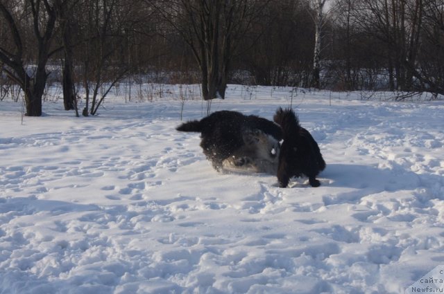 Фотография № 117201