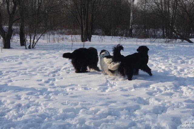 Фотография № 117204