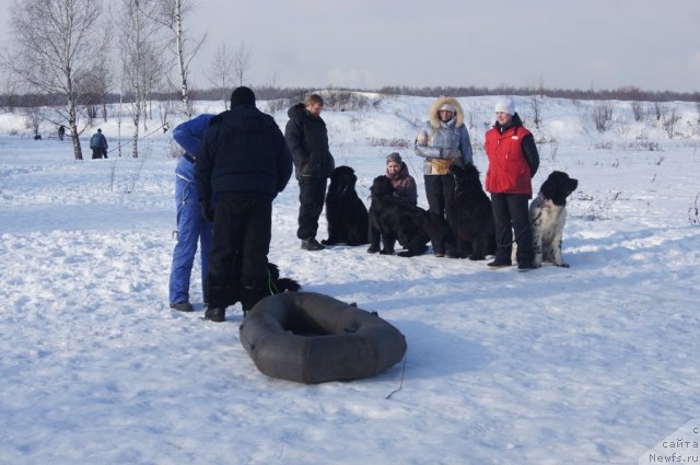 Фотография № 117210