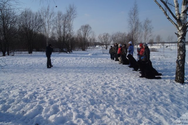 Фотография № 117212