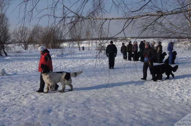 Фотография № 117213