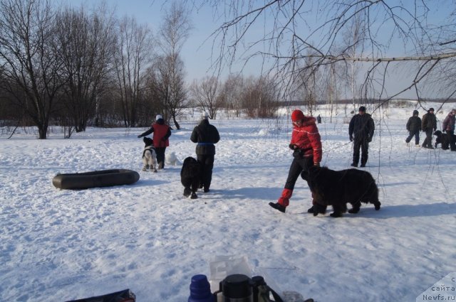 Фотография № 117214