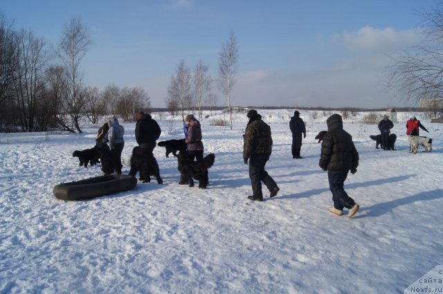 Фотография № 117215