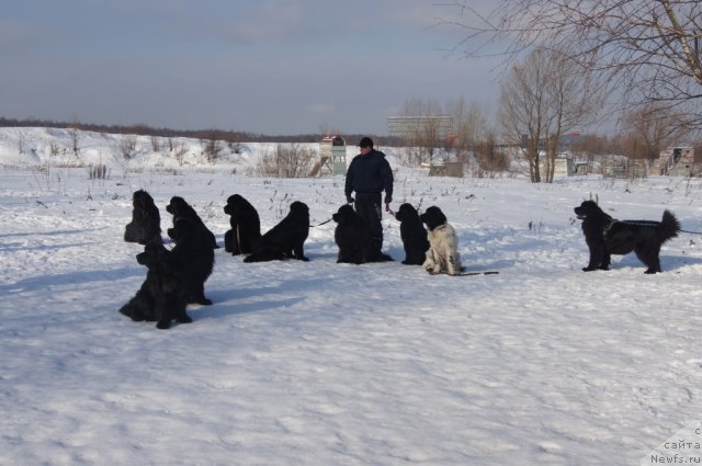 Фотография № 117222