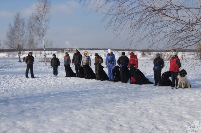 Фотография № 117225