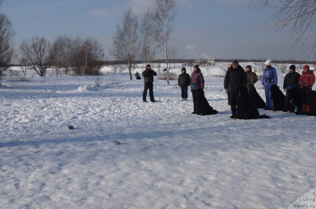 Фотография № 117226