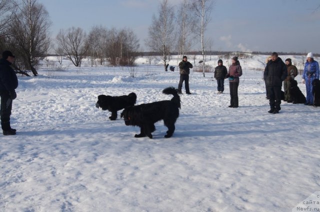 Фотография № 117227