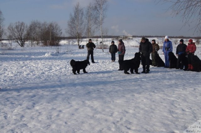 Фотография № 117228