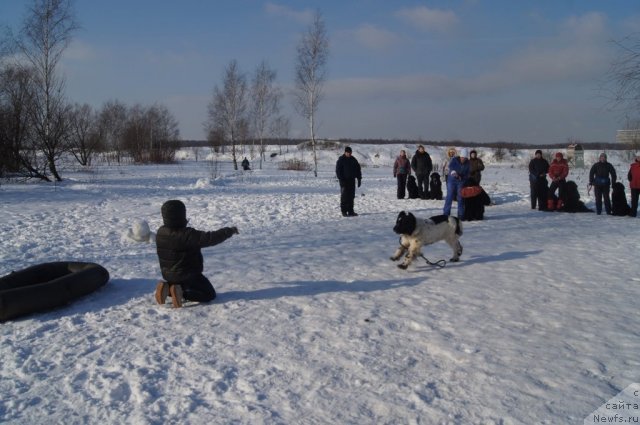 Фотография № 117229