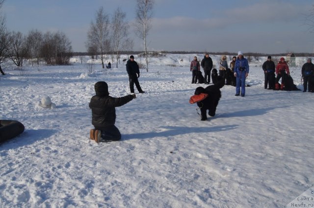 Фотография № 117231