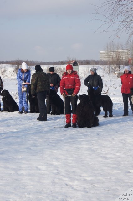 Фотография № 117233