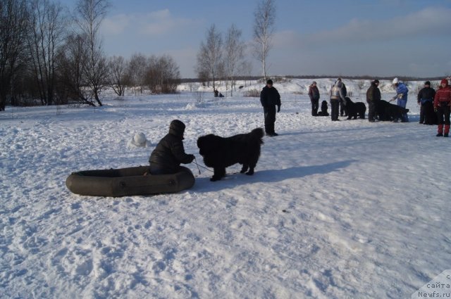 Фотография № 117234