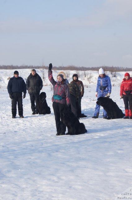 Фотография № 117235