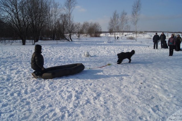 Фотография № 117236