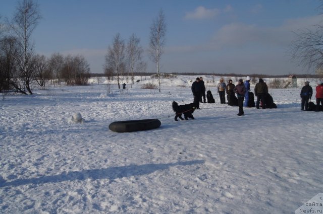 Фотография № 117237