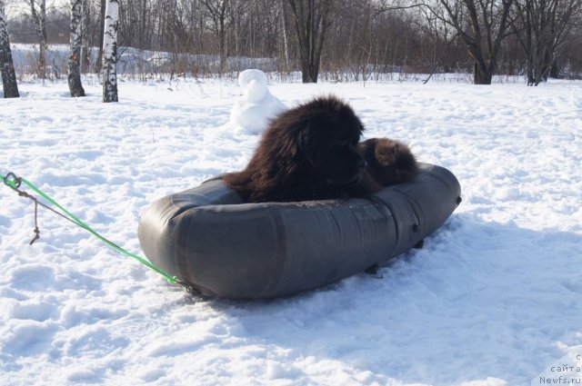 Фотография № 117240