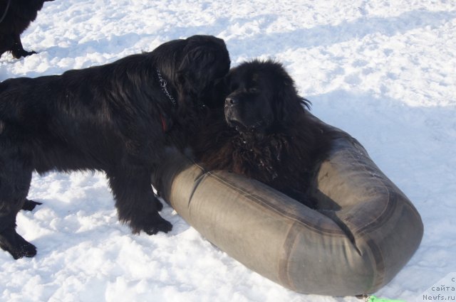 Фотография № 117244