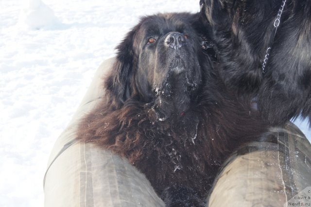 Фотография № 117247