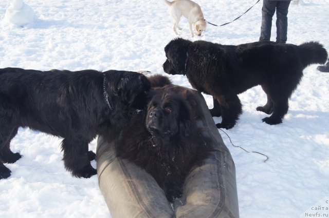 Фотография № 117249