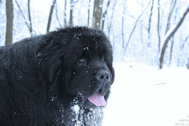 Фотография № 117254