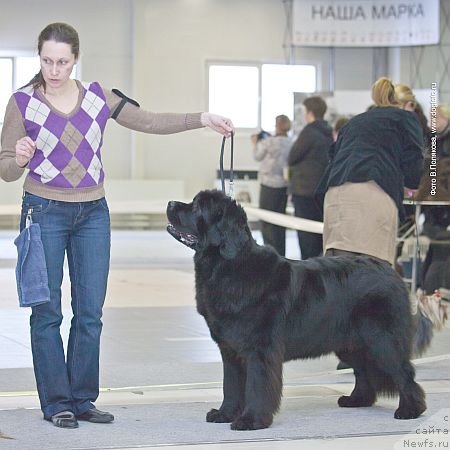 Фотография № 117259