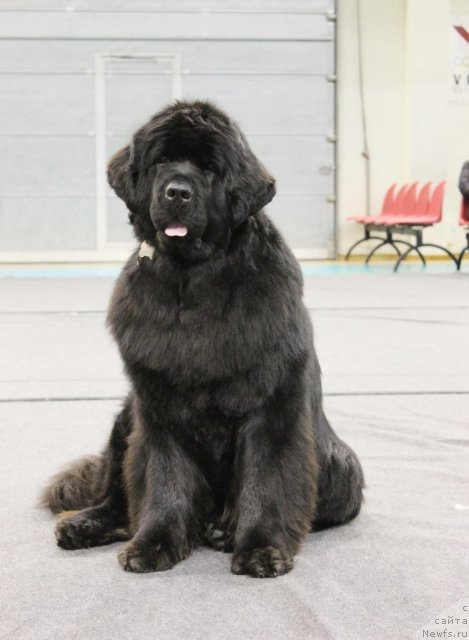 Фотография № 117265