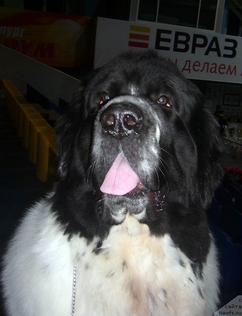 Фотография № 117287