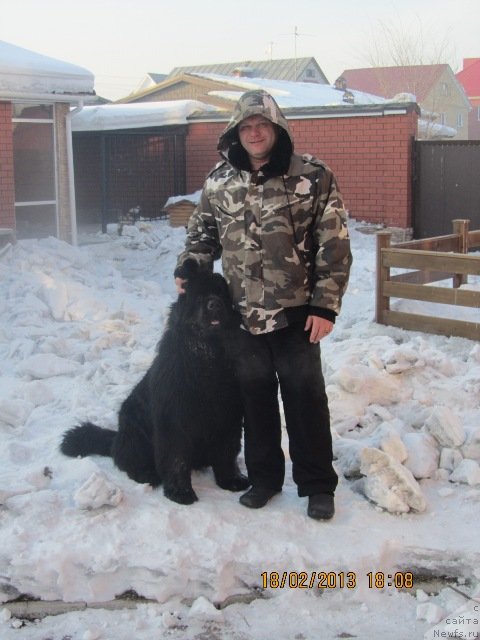 Фотография № 117338