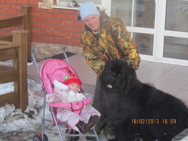 Фотография № 117340