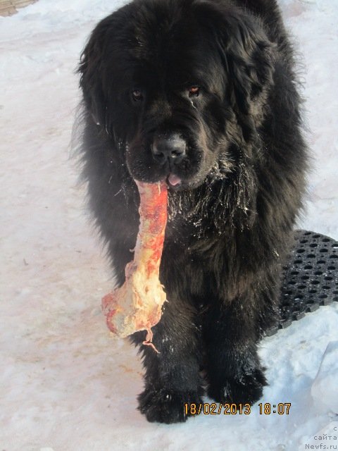 Фотография № 117342