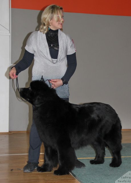 Фотография № 117344