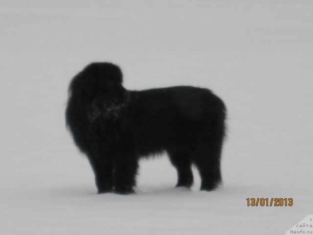 Фото: Sergey Kryukov (Сергей Крюков)
