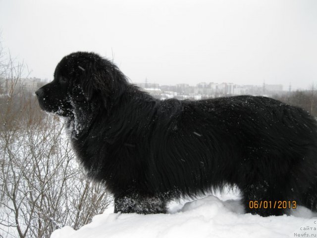 Фото: Sergey Kryukov (Сергей Крюков)