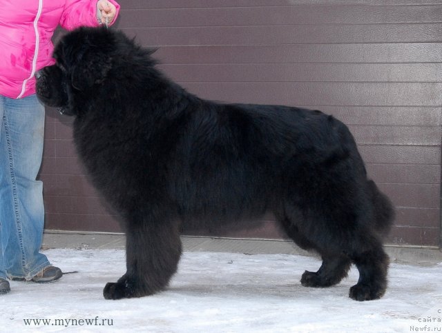 Фотография № 117422