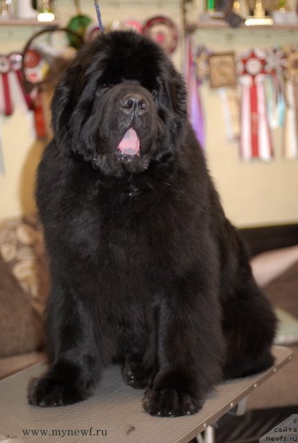 Фотография № 117427