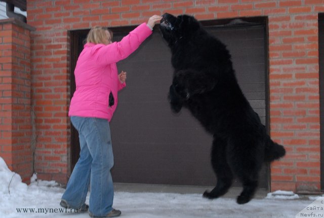 Фотография № 117435