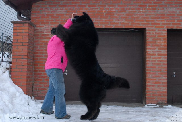 Фотография № 117436