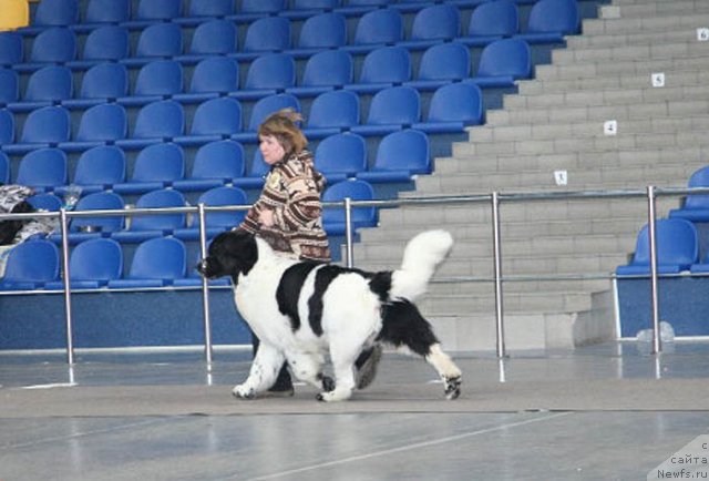 Фотография № 117506