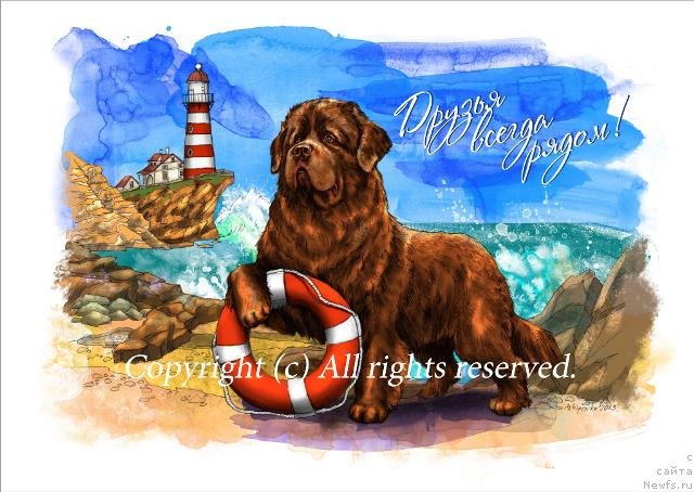 Фотография № 117590