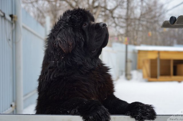 Фотография № 117592